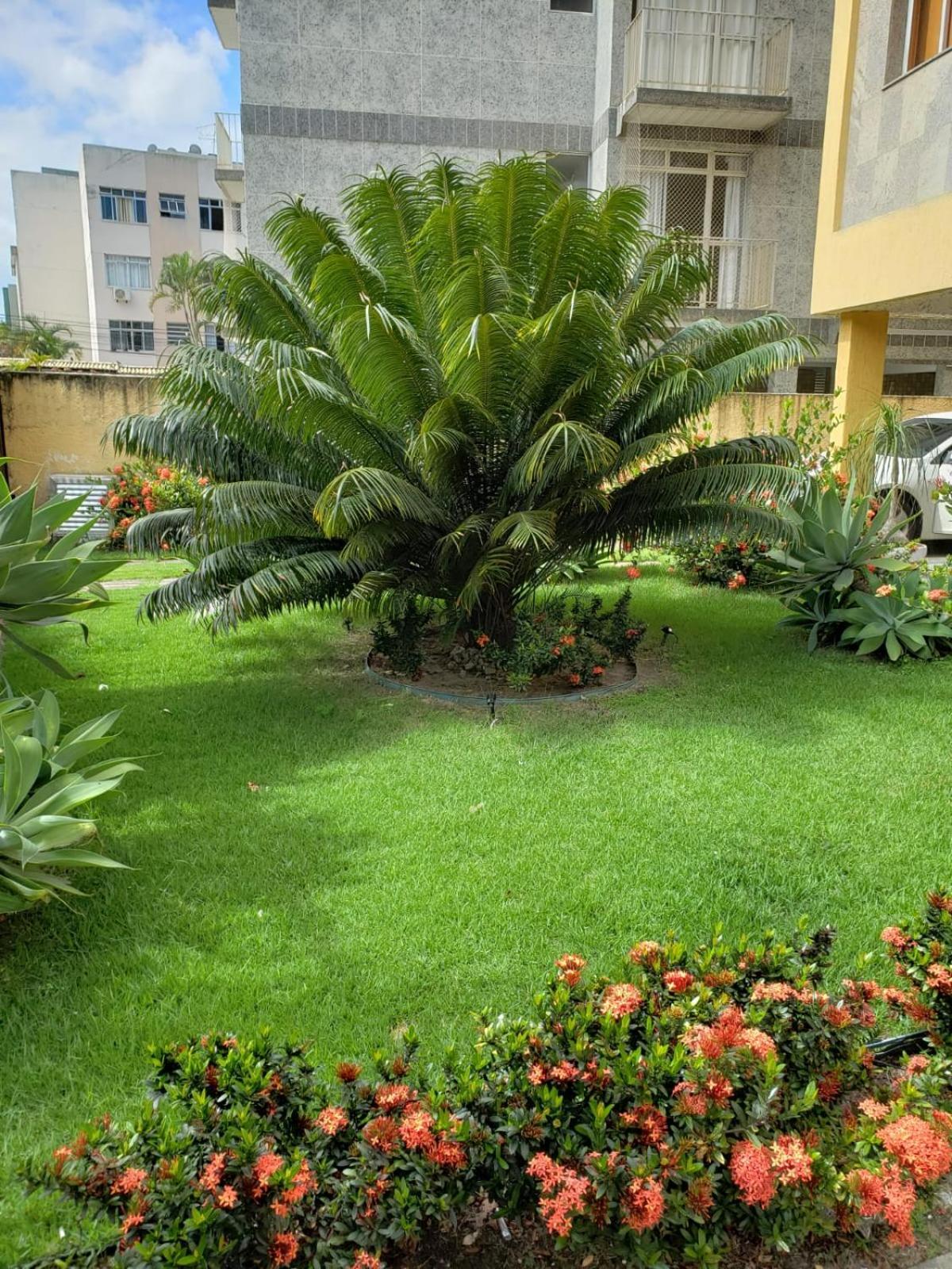 Localizacao Imbativel! A 98M Da Praia Do Forte Com Conforto, Ar-Condicionado E Estacionamento! Cabo Frio Exterior photo